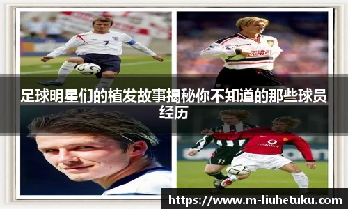 关键词3