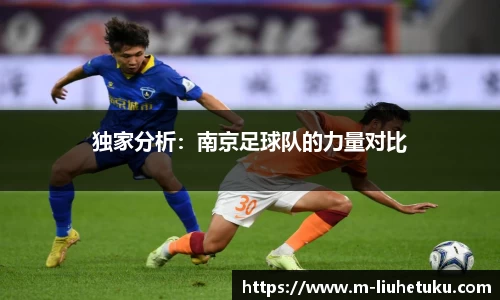 独家分析：南京足球队的力量对比