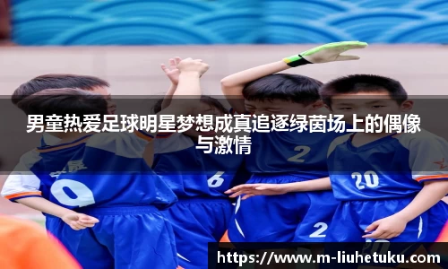 男童热爱足球明星梦想成真追逐绿茵场上的偶像与激情