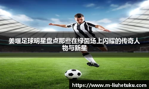 姜堰足球明星盘点那些在绿茵场上闪耀的传奇人物与新星